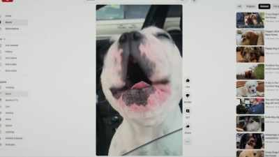There is behavior
that we don't understand, - Inside the Mind of a Dog