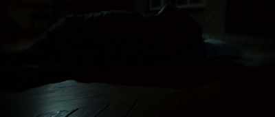 - There beside the bed - The Mothman Legacy