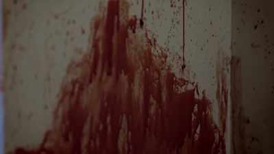 There was blood everywhere. - An American Murder Mystery: The Staircase