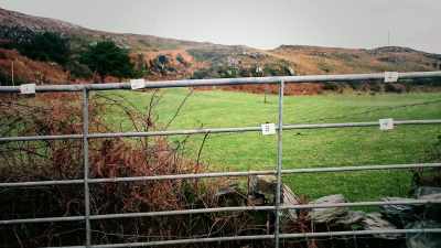 There were bloodstains
on the metal gate. - Sophie: A Murder in West Cork