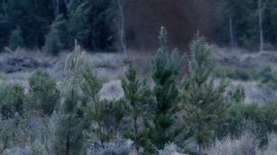 There she blows - Tremors: A Cold Day in Hell