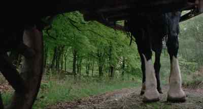 - There, boy. - The Blood on Satan's Claw
