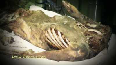  There was branches around it
 It was like somebody tried
 to cover it up. - Homicide Hunter: Devil in the Mountains