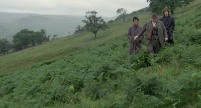 There can be no true beauty without decay - Withnail &amp; I