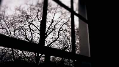 There clearly was a
feeling of mutual sympathy. - The Murder of Sandra Rivett