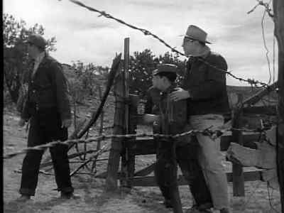 There comes a child,
warns women, fast! - Salt of the Earth