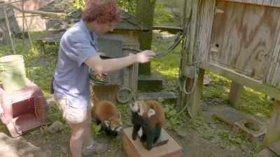 There you go.
Good job. - Secrets of the Zoo