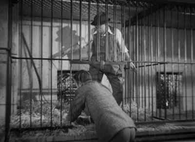 - There you go, Peter, I'll get it. - Murders in the Zoo