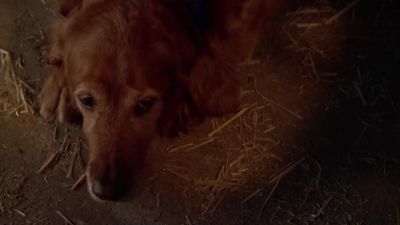 There we go. - Smallville
