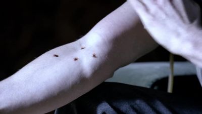 There we go. - American Horror Story