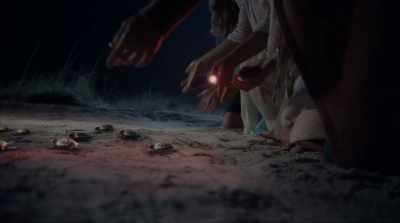 There you go. - The Beach House