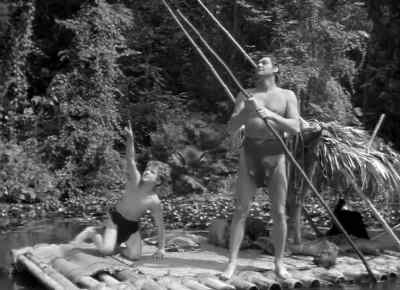 There they go, Tarzan. - Tarzan and the Amazons