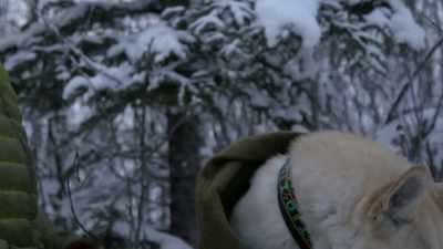 There you go,
that's what we want. - Life Below Zero: Next Generation