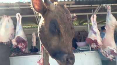 There you go - there's a cow's head
dangling from a tree. - From Russia to Iran: Crossing Wild Frontier