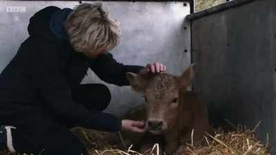 There you go, you're so gentle. - Mountain Vets