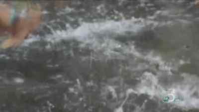 THERE HE IS,
JAMMED IN THESE SHALLOWS HERE. - Man vs. Wild