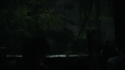 There! I see them! - The 100