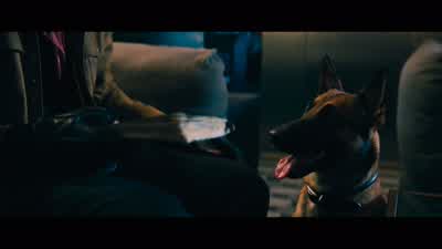 There is a dog in my lobby. - John Wick: Chapter 4