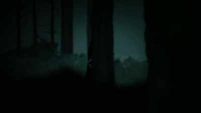 There is this elusive truth - Sasquatch
