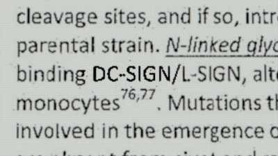 There is this insane probability - Thank You Dr. Fauci