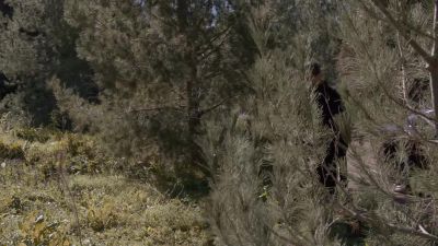 There it is. - NCIS