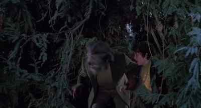 There he is! - The Boy Who Cried Werewolf