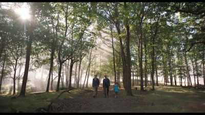 There it is. Up there!
That's where Owl lives. - Goodbye Christopher Robin