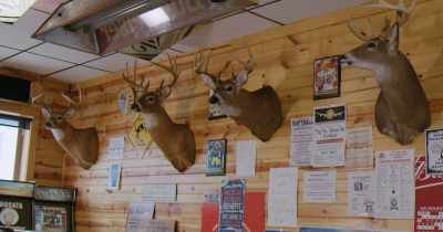 There isn't a set of antlers - Stars in the Sky: A Hunting Story