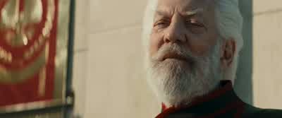 There it is! - The Hunger Games: Catching Fire