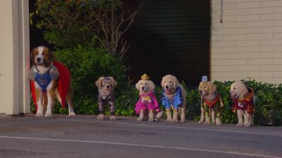 There look - Super Buddies