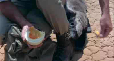 There. Lunch.
Go on, try it. - The Gods Must Be Crazy II