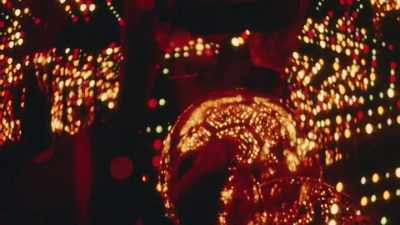 There were many artists
from the Renaissance on - Kusama : Infinity