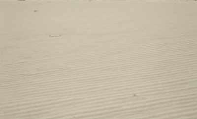 There is marine debris
on the beach - Geographies of Solitude