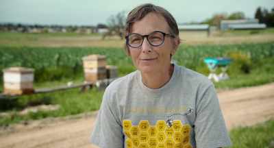 There may be situations where
you find it really important, - The Pollinators