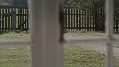 There is no care for me, - Children of the Cult
