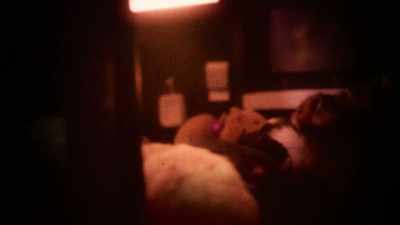 There was no easier
place to score drugs - Fantasmas