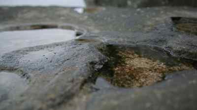 There was no footprints
of any kind there. - Never Let Him Go