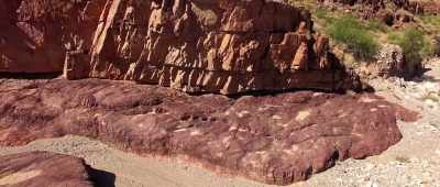 ... and there were no fossils actually below that ... - Is Genesis History?
