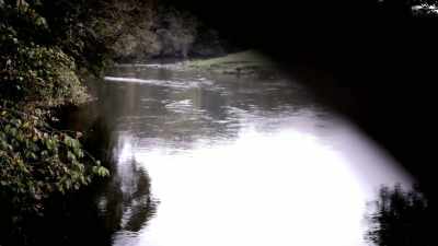 There were no obvious broken bones. - When Missing Turns to Murder