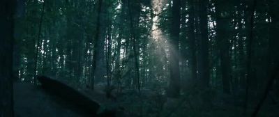 There is no one - The Sea of Trees
