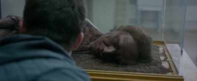 There were no signs of violence, - William