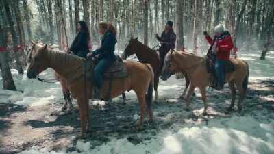 There was no trees,
no barn, no house. - A Maple Valley Christmas