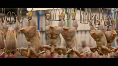 There is nothing clean 
about eating this way - What the Health