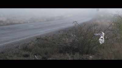 There was nothing I could say,
all I could do was be there. - The Three Deaths of Marisela Escobedo