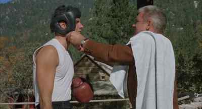 There. Now you look real cute. - Kid Galahad