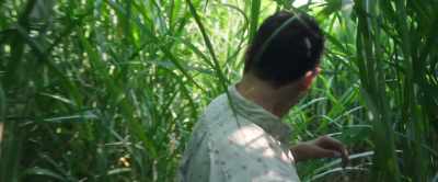 There once was a woman named Jill - In the Tall Grass