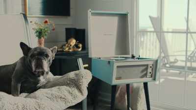 There was one study
that looked at dogs' affective responses - Inside the Mind of a Dog