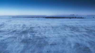 There is only one animal
here hardy enough - Frozen Planet II
