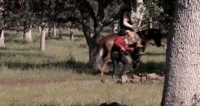 There was only one lawman - From Hell to the Wild West