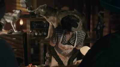 There! Porcupines - Frankie Drake Mysteries